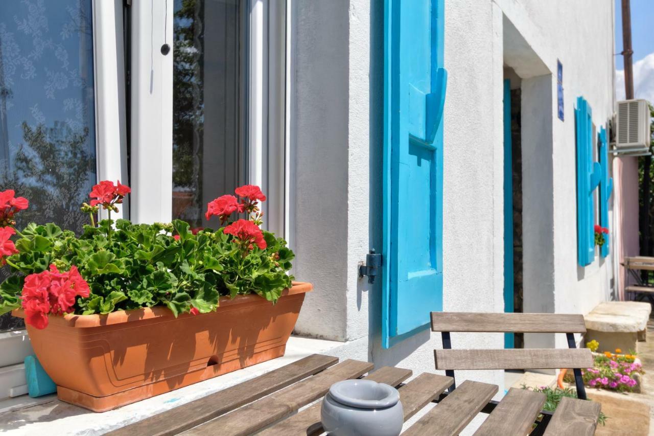 Apartmani Anna Umag Extérieur photo