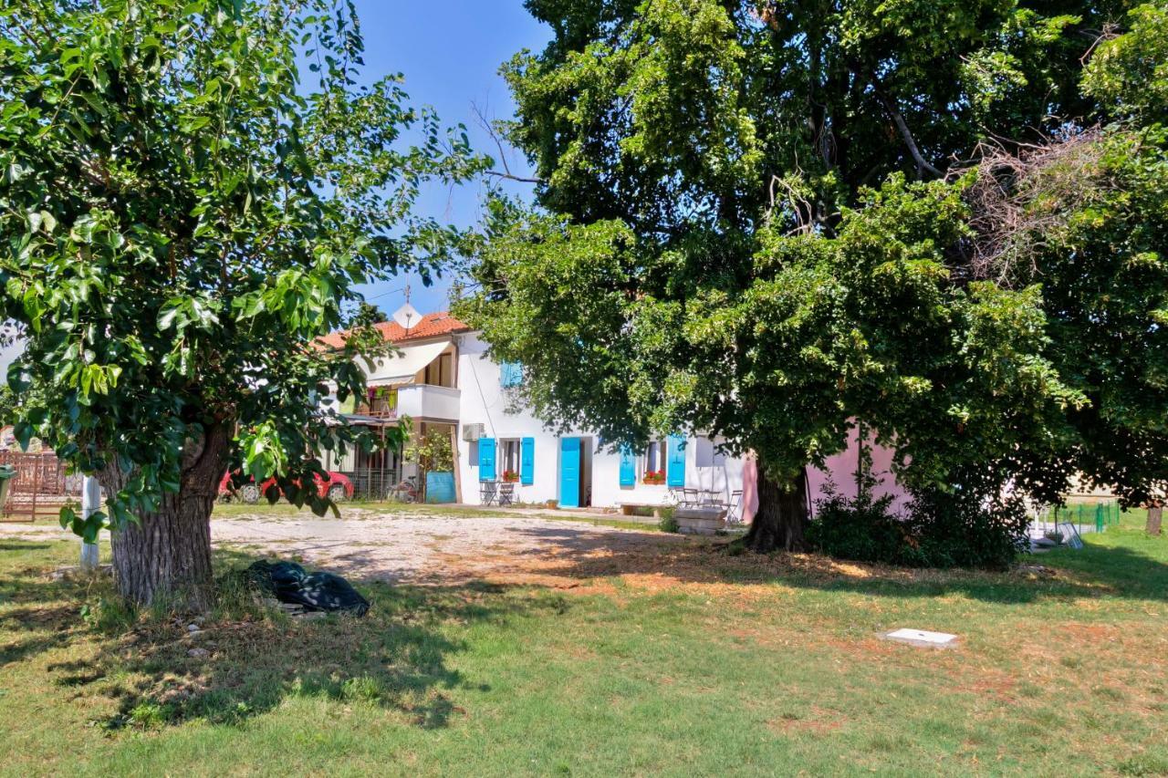Apartmani Anna Umag Extérieur photo